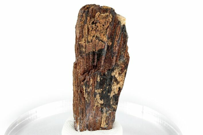Chatoyant Brown Niobophyllite with Feldspar - Malawi #348774
